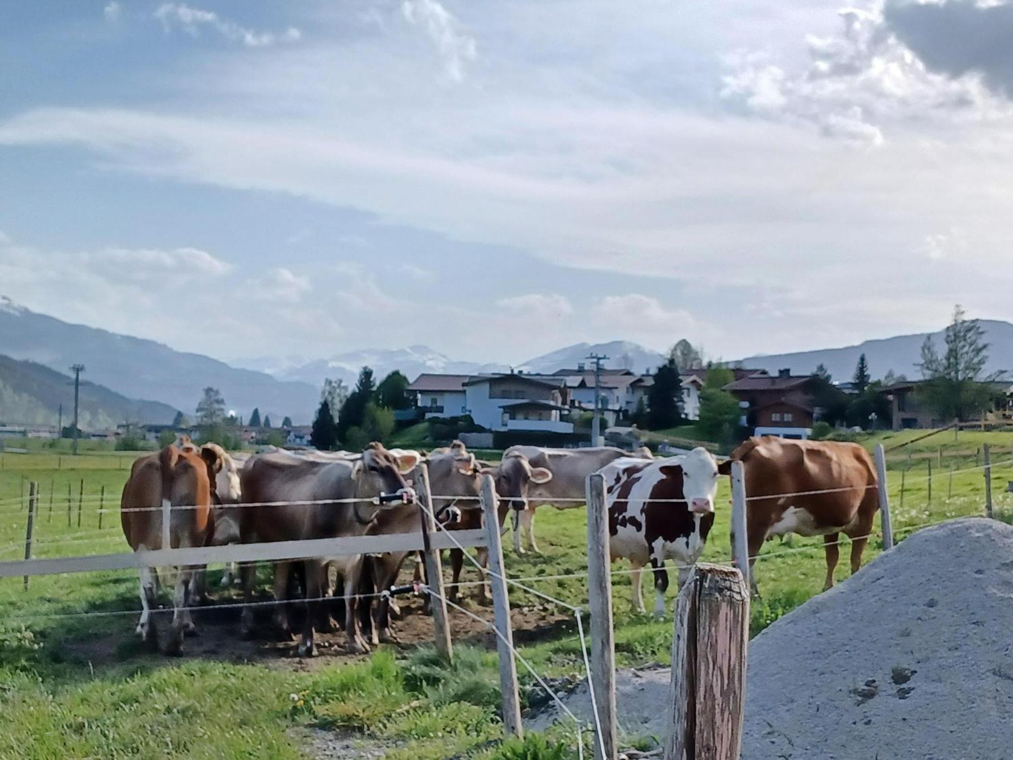 Lampererhof Villa Sankt Johann in Tirol Exteriör bild