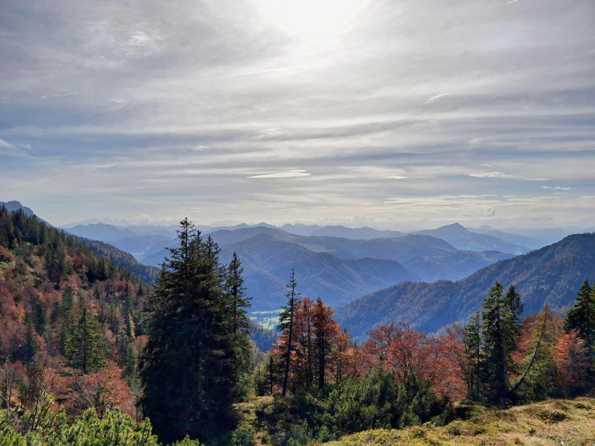 Lampererhof Villa Sankt Johann in Tirol Exteriör bild