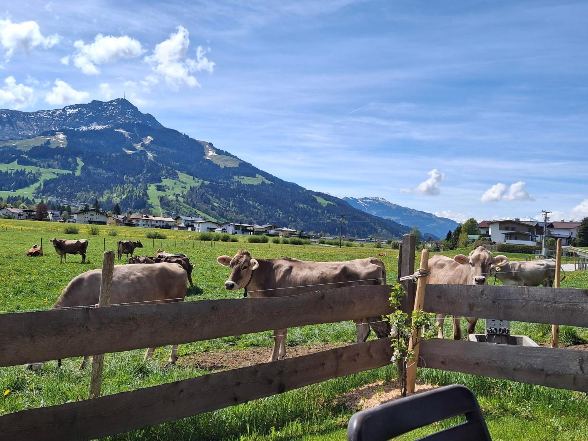 Lampererhof Villa Sankt Johann in Tirol Exteriör bild