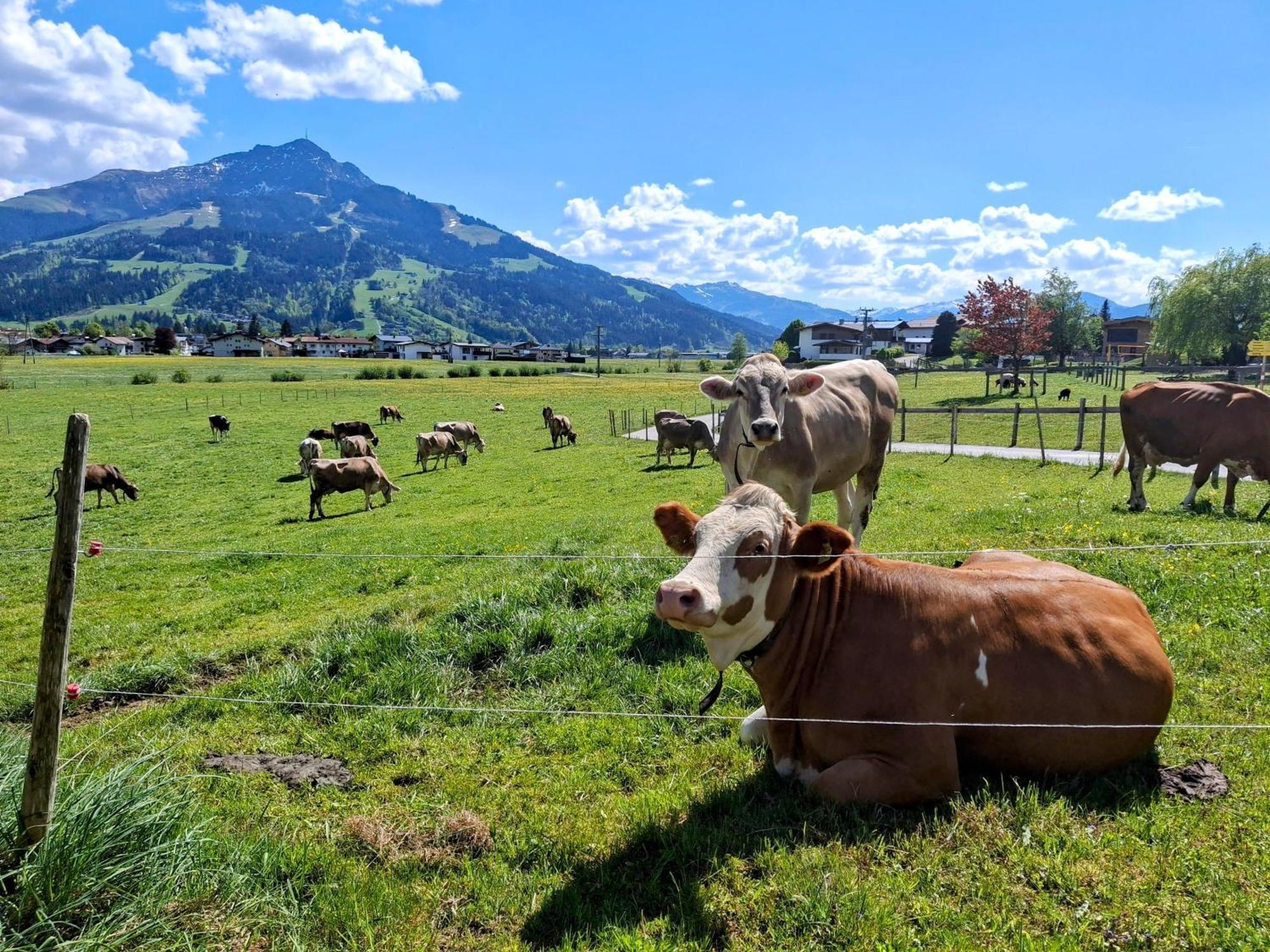 Lampererhof Villa Sankt Johann in Tirol Exteriör bild