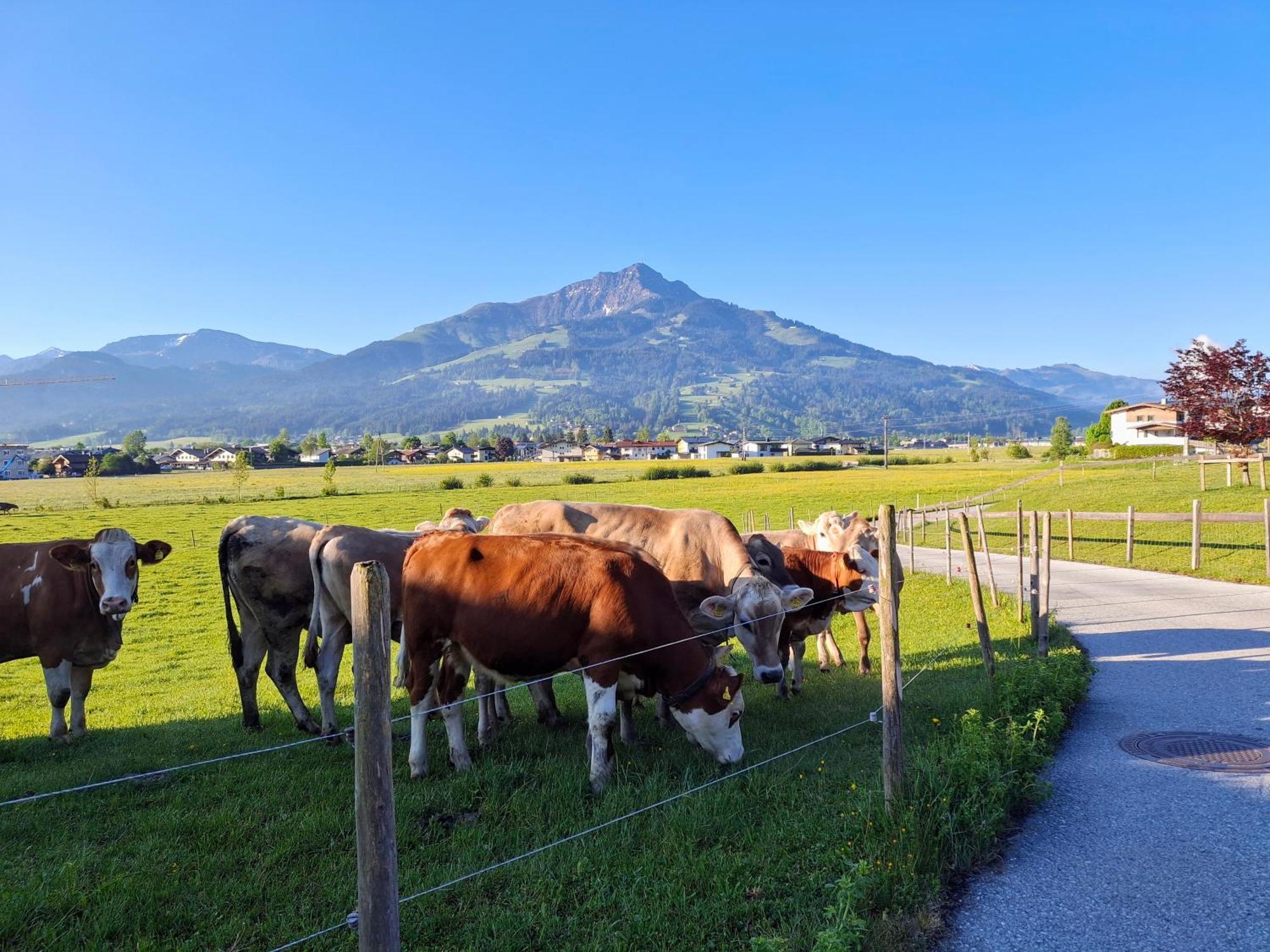 Lampererhof Villa Sankt Johann in Tirol Exteriör bild